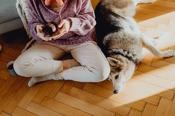 What is Sedentary Lifestyle? 3 pexels karolina grabowska 6633204 1 jpg